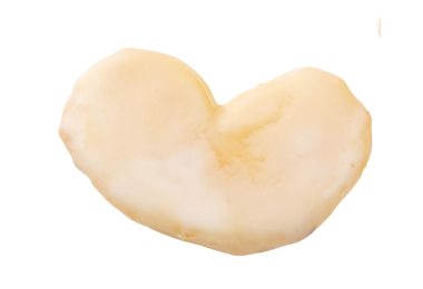 Palmerita-glaseada-100